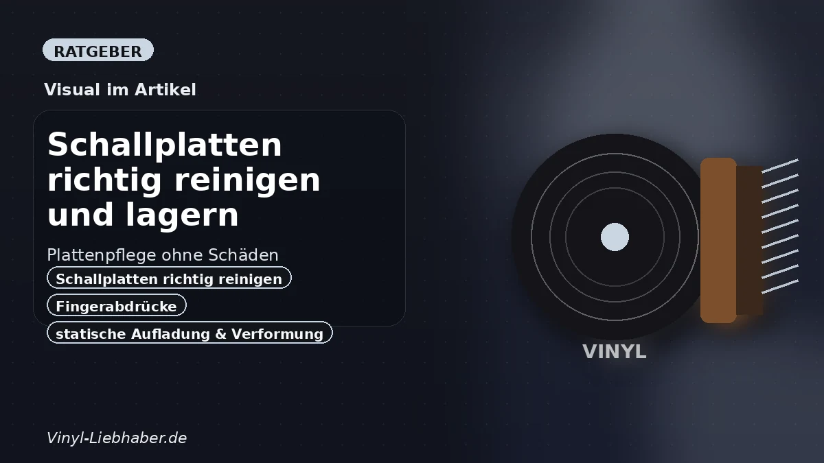 Erklärgrafik zum Ratgeber „Schallplatten richtig reinigen und lagern: Plattenpflege ohne Schäden“