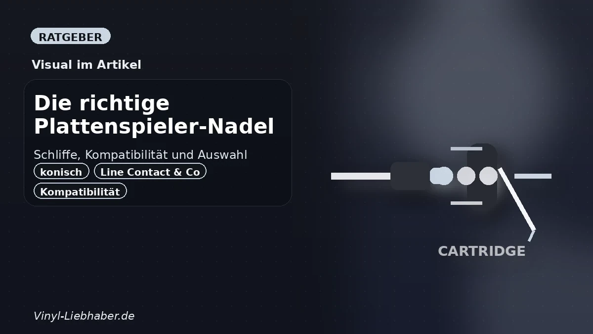 Nadel und Tonabnehmer als mögliche Ursache von Verzerrungen